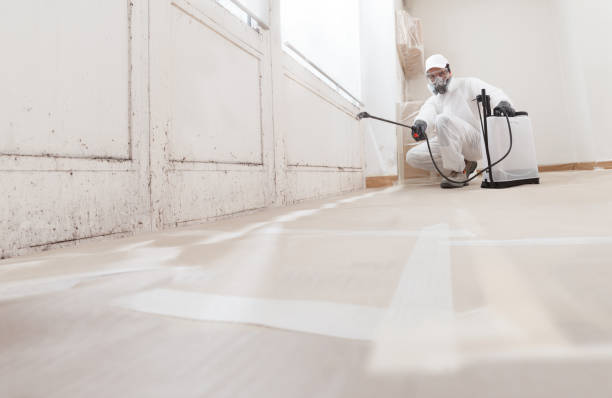 24/7 Emergency Basement Mold Remediation experts in Trenton, GA